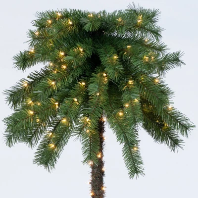 6ft Pre-Lit Artificial Palm Tree Clear Lights - Wondershop™ 1 6ft Pre-Lit Artificial Palm Tree Clear Lights - Wondershop™