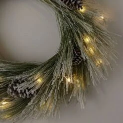 Wondershop -Wondershop GUEST d50aff58 cb9b 40fe 9ade 0b11e5bbc263